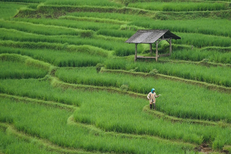 Farm Visit